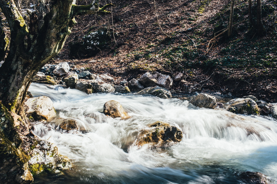 Сербское село Зарожье
